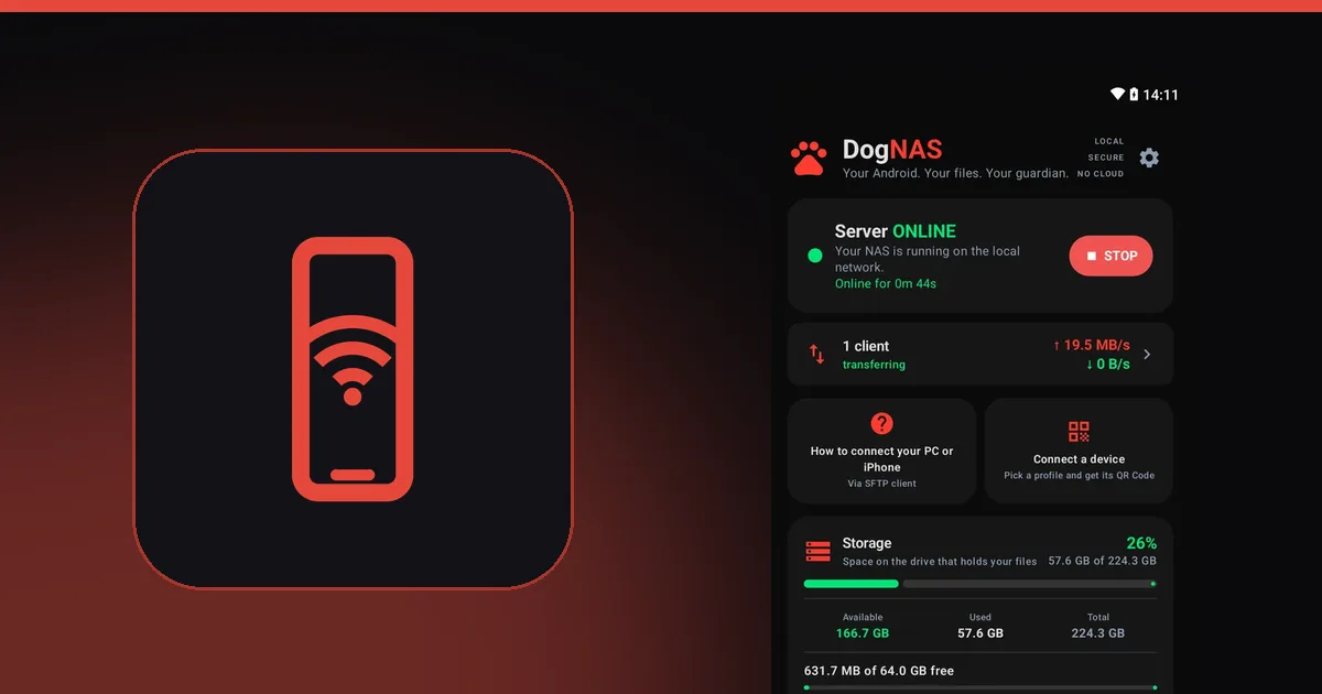 Illustration of a phone with Wi-Fi next to the DogNAS server screen