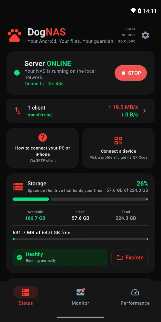 DogNAS server online